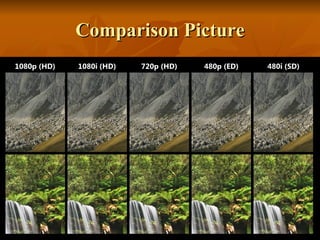 Comparison Picture 
