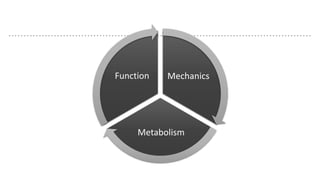 Mechanics
Metabolism
Function
 