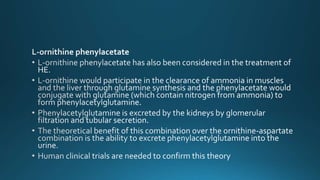 Hepatic Encephalopathy