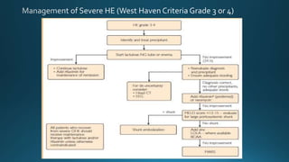 Hepatic Encephalopathy