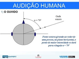 AUDIÇÃO HUMANA
1) O OUVIDO
 