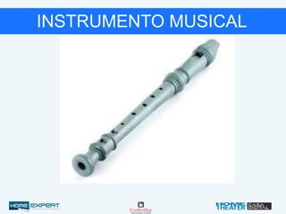 INSTRUMENTO MUSICAL
 