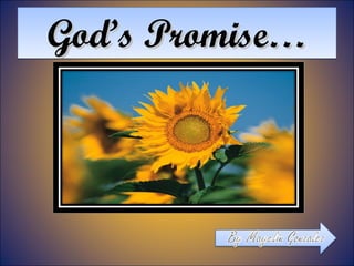 God’s Promise… 