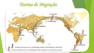 Teorias de Migração
 