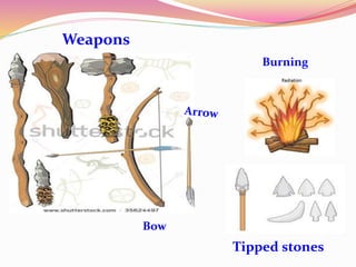 Tipped stones
Weapons
Bow
Burning
 