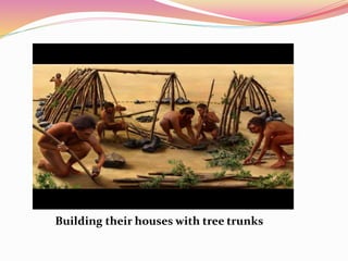 Building their houses with tree trunks
 
