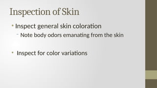 (HeA) Chapter 4 - Skin, Hair and Nails Assessment.pptx