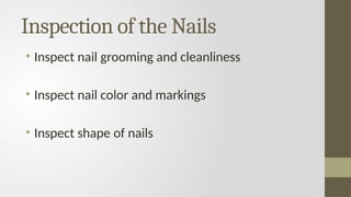 Nail Pattern Inspection Layout (HeA) Chapter 4 - Skin, Hair and Nails Assessment.pptx