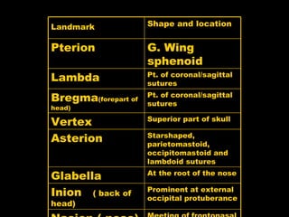 Landmark   Shape and location Pterion G. Wing sphenoid Lambda  Pt. of coronal/sagittal sutures Bregma (forepart of head) Pt. of coronal/sagittal sutures Vertex Superior part of skull Asterion Starshaped, parietomastoid, occipitomastoid and  lambdoid sutures Glabella  At the root of the nose Inion  ( back of head) Prominent at external occipital protuberance Nasion ( nose) Meeting of frontonasal and internasal sutures 