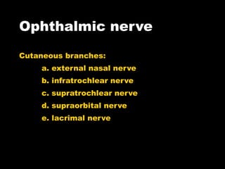 Ophthalmic nerve Cutaneous branches: a. external nasal nerve b. infratrochlear nerve c. supratrochlear nerve d. supraorbital nerve e. lacrimal nerve 