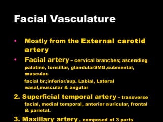 Facial Vasculature Mostly from the  External carotid artery Facial artery  – cervical branches; ascending palatine, tonsillar, glandularSMG,submental, muscular. facial br.;inferior/sup. Labial, Lateral nasal,muscular & angular 2. Superficial temporal artery  – transverse facial, medial temporal, anterior auricular, frontal & parietal.  3. Maxillary artery  , composed of 3 parts 1 st  part(bet. Mandibular/sphinopalatine) = ant. Tympanic, deep auricular, middle meningeal(cranial via for.ovale), accessory meningeal, inferior alveolar to mandible, gingiva, teeth. 