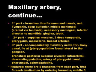 Maxillary artery, continue… 1 st  part – branches thru foramen and canals, ant. Tympanic, deep auricular, middle meningeal (cranial via for.ovale), accessory meningeal, inferior alveolar to mandible, gingiva, teeth. *  2 nd  part -  supplies muscles, 2 deep temporals, pterygoids, masseteric, buccal arteries 3 rd  part - accompanied by maxillary nerve thru bony canal, lie at [pterygopalatine fossa lateral to the ganglion. branches; posterior superior alveolar, infraorbital, descending palatine, artery of pterygoid canal, pharyngeal, sphenopalatine.  * Features: there are 5 branches from each part, first 5 reach destination by entering foramina, middle 5 supply soft tissue & use no foramina, last 5 use foramina. The infraorbital the 6 th  branch is really the termination of the maxillary artery. 