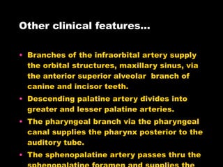 Other clinical features… Branches of the infraorbital artery supply the orbital structures, maxillary sinus, via the anterior superior alveolar  branch of canine and incisor teeth. Descending palatine artery divides into greater and lesser palatine arteries. The pharyngeal branch via the pharyngeal canal supplies the pharynx posterior to the auditory tube. The sphenopalatine artery passes thru the sphenopalatine foramen and supplies the lateral wall and septum of nasal cavity. 