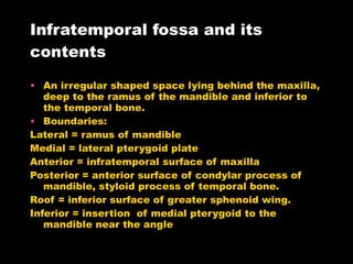 Infratemporal fossa and its contents An irregular shaped space lying behind the maxilla, deep to the ramus of the mandible and inferior to the temporal bone. Boundaries: Lateral = ramus of mandible Medial = lateral pterygoid plate Anterior = infratemporal surface of maxilla Posterior = anterior surface of condylar process of mandible, styloid process of temporal bone. Roof = inferior surface of greater sphenoid wing. Inferior = insertion  of medial pterygoid to the mandible near the angle 