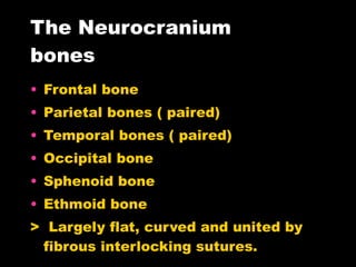 The Neurocranium bones Frontal bone Parietal bones ( paired) Temporal bones ( paired) Occipital bone Sphenoid bone Ethmoid bone >  Largely flat, curved and united by fibrous interlocking sutures. 
