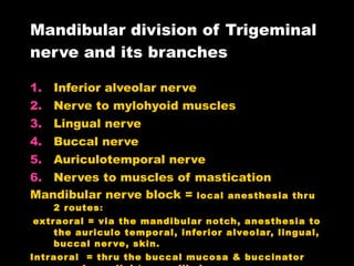 Mandibular division of Trigeminal nerve and its branches Inferior alveolar nerve Nerve to mylohyoid muscles Lingual nerve Buccal nerve Auriculotemporal nerve Nerves to muscles of mastication Mandibular nerve block =  local anesthesia thru 2 routes : extraoral = via the mandibular notch, anesthesia to the auriculo temporal, inferior alveolar, lingual, buccal nerve, skin. Intraoral  = thru the buccal mucosa & buccinator muscle medial to mandibular ramus, near foramen. Affects the inferior alveolar and lingual nerve to mandibular body, ramus, mandibular teeth and gingiva, mucosa of anterior 2/3 of tongue. 