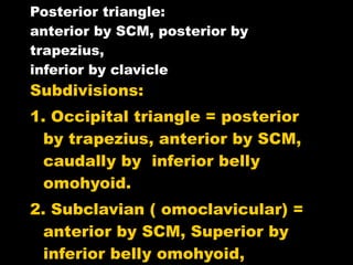Posterior triangle: anterior by SCM, posterior by trapezius, inferior by clavicle Subdivisions: 1. Occipital triangle = posterior by trapezius, anterior by SCM, caudally by  inferior belly omohyoid. 2. Subclavian ( omoclavicular) = anterior by SCM, Superior by inferior belly omohyoid, inferiorly by clavicle 