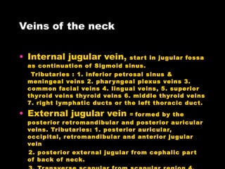 Veins of the neck Internal jugular vein,  start in jugular fossa as continuation of Sigmoid sinus. Tributaries : 1. inferior petrosal sinus & meningeal veins 2. pharyngeal plexus veins 3. common facial veins 4. lingual veins, 5. superior thyroid veins thyroid veins 6. middle thyroid veins 7. right lymphatic ducts or the left thoracic duct. External jugular vein  =  formed by the posterior retromandibular and posterior auricular veins. Tributaries: 1. posterior auricular, occipital, retromandibular and anterior jugular  vein  2. posterior external jugular from cephalic part of back of neck. 3. Transverse scapular from scapular region 4. Transverse cervical Subclavian vein  =  from axillary veins. Tributaries: 1. external jugular 2. transverse cervical 3. thoracoacromial from shoulder and upper pectoral region. 