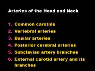 Arteries of the Head and Neck Common carotids Vertebral arteries Basilar arteries Posterior cerebral arteries Subclavian artery branches External carotid artery and its branches 