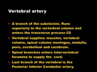 Vertebral artery A branch of the subclavian. Runs superiorly to the verterbral column and enters the transverse process C6 Vertebral supplies: muscles, vertebral column, spinal column meninges, medulla, pons, cerebellum and cerebrum. Spinal branches enters intervertebral foramina to supply the  cord. Last branch of the vertebral is the Posterior Inferior Cerebellar artery. 