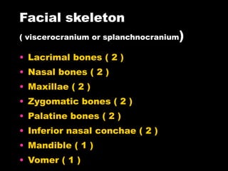 Facial skeleton ( viscerocranium or splanchnocranium ) Lacrimal bones ( 2 ) Nasal bones ( 2 ) Maxillae ( 2 ) Zygomatic bones ( 2 ) Palatine bones ( 2 ) Inferior nasal conchae ( 2 ) Mandible ( 1 ) Vomer ( 1 ) 