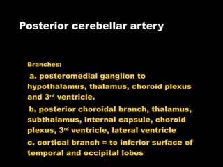 Posterior cerebellar artery Branches: a. posteromedial ganglion to hypothalamus, thalamus, choroid plexus and 3 rd  ventricle. b. posterior choroidal branch, thalamus, subthalamus, internal capsule, choroid plexus, 3 rd  ventricle, lateral ventricle c. cortical branch = to inferior surface of temporal and occipital lobes 