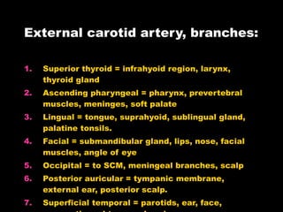 External carotid artery, branches: Superior thyroid = infrahyoid region, larynx, thyroid gland Ascending pharyngeal = pharynx, prevertebral muscles, meninges, soft palate Lingual = tongue, suprahyoid, sublingual gland, palatine tonsils. Facial = submandibular gland, lips, nose, facial muscles, angle of eye Occipital = to SCM, meningeal branches, scalp Posterior auricular = tympanic membrane, external ear, posterior scalp. Superficial temporal = parotids, ear, face, zygomatic and temporal regions. Maxillary artery = to masticatory muscles 