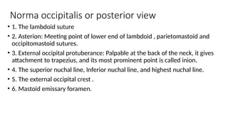 head-and-neck-anatomy-lab-1-Autosaved.pptx