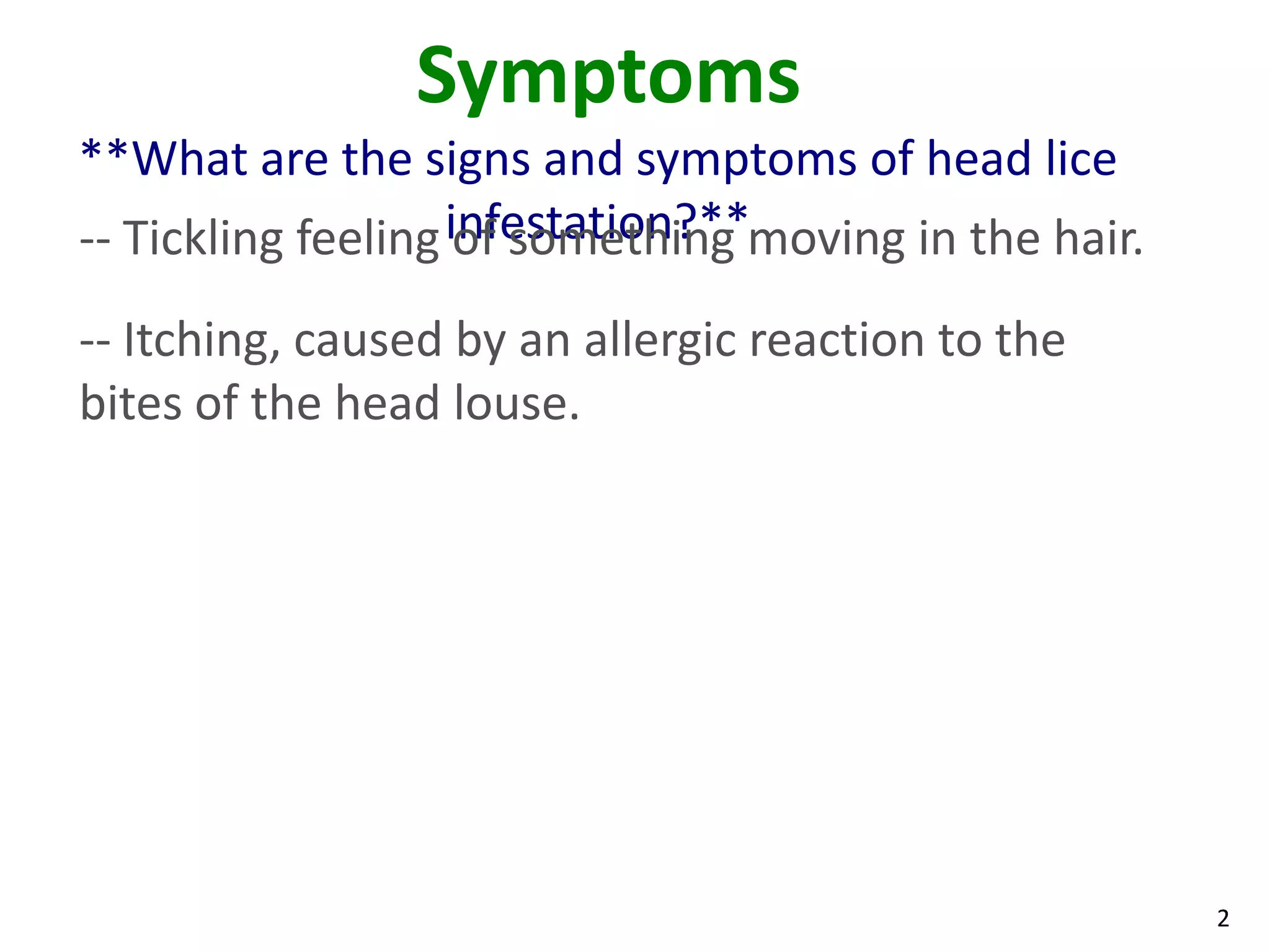 Head Lice | PPTX