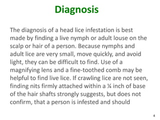Head Lice | PPTX