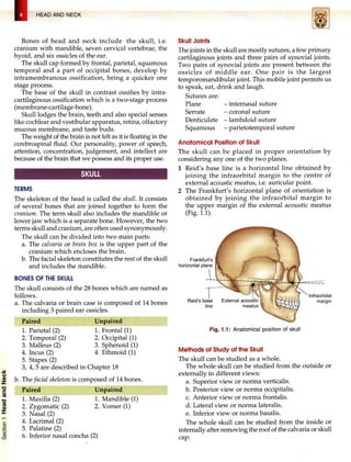 HEAD-NECK & BRAIN.pdf head and neck anatomy | PDF