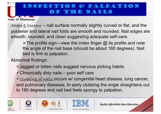 Nail Pattern Inspection Layout HEAD-TO-TOE-ASSESSMENT-NCM-101lectnL.pdf
