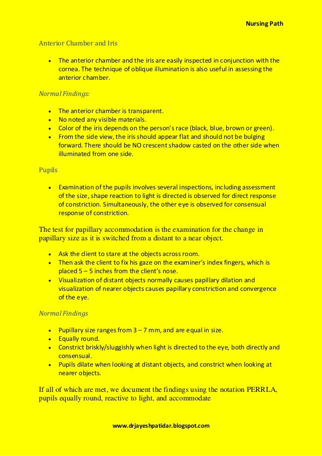 Head totoe assessment