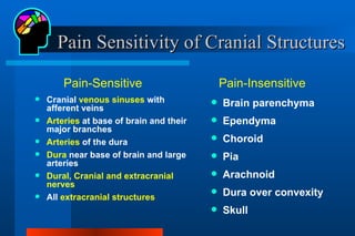 Pain Sensitivity of Cranial Structures ,[object Object],[object Object],[object Object],[object Object],[object Object],[object Object],[object Object],[object Object],[object Object],[object Object],[object Object],[object Object],[object Object],Pain-Sensitive Pain-Insensitive 