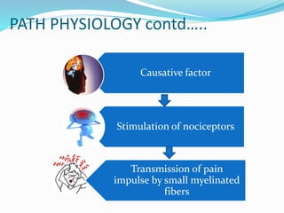 PATH PHYSIOLOGY contd…..
Causative factor
Stimulation of nociceptors
Transmission of pain
impulse by small myelinated
fibers
 