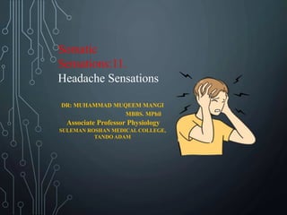 Somatic
Sensations:11.
Headache Sensations
DR: MUHAMMAD MUQEEM MANGI
MBBS. MPhil
Associate Professor Physiology
SULEMAN ROSHAN MEDICAL COLLEGE,
TANDO ADAM
 