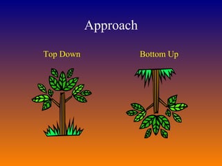 Approach Top Down  Bottom Up 