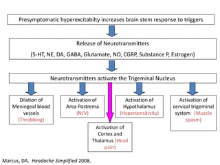 Presymptomatic hyperexcitabilty increases brain stem response to triggers

Release of Neurotransmitters
(5-HT, NE, DA, GABA, Glutamate, NO, CGRP, Substance P, Estrogen)

Neurotransmitters activate the Trigeminal Nucleus

Dilation of
Meningeal blood
vessels
(Throbbing)

Activation of
Area Postrema
(N/V)

Activation of
Hypothalamus
(Hypersensitivity)

Activation of
Cortex and
Thalamus (Head
pain)
Marcus, DA. Headache Simplified 2008.

Activation of
cervical trigeminal
system (Muscle
spasm)

 