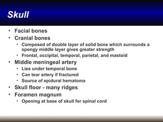 Tear Ridges Craniofacial trauma, Diagnosis, Therapy, Management | PPT