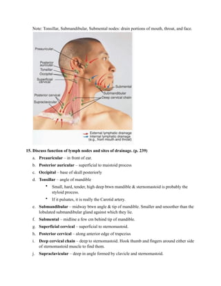 Note: Tonsillar, Submandibular, Submental nodes: drain portions of mouth, throat, and face.




15. Discuss function of lymph nodes and sites of drainage. (p. 239)
   a. Preauricular – in front of ear.
   b. Posterior auricular – superficial to maistoid process
   c. Occipital – base of skull posteriorly
   d. Tonsillar – angle of mandible
          •   Small, hard, tender, high deep btwn mandible & sternomastoid is probably the
              styloid process.
          •   If it pulsates, it is really the Carotid artery.
   e. Submandibular – midway btwn angle & tip of mandible. Smaller and smoother than the
      lobulated submandibular gland against which they lie.
   f. Submental – midline a few cm behind tip of mandible.
   g. Superficial cervical – superficial to sternomastoid.
   h. Posterior cervical – along anterior edge of trapezius
   i. Deep cervical chain – deep to sternomastoid. Hook thumb and fingers around either side
      of sternomastoid muscle to find them.
   j. Supraclavicular – deep in angle formed by clavicle and sternomastoid.
 