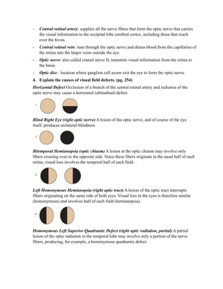 -   Central retinal artery: supplies all the nerve fibers that form the optic nerve that carries
    the visual information to the occipital lobe cerebral cortex, including those that reach
    over the fovea.
-   Central retinal vein: runs through the optic nerve and drains blood from the capillaries of
    the retina into the larger veins outside the eye.
-   Optic nerve: also called cranial nerve II, transmits visual information from the retina to
    the brain.
-   Optic disc: location where ganglion cell axons exit the eye to form the optic nerve.
4. Explain the causes of visual field defects. (pg. 254)
Horizontal Defect Occlusion of a branch of the central retinal artery and ischemia of the
optic nerve may cause a horizontal (altitudinal) defect.




Blind Right Eye (right optic nerve) A lesion of the optic nerve, and of course of the eye
itself, produces unilateral blindness.




Bitemporal Hemianopsia (optic chiasm) A lesion at the optic chiasm may involve only
fibers crossing over to the opposite side. Since these fibers originate in the nasal half of each
retina, visual loss involves the temporal half of each field.




Left Homonymous Hemianopsia (right optic tract) A lesion of the optic tract interrupts
fibers originating on the same side of both eyes. Visual loss in the eyes is therefore similar
(homonymous) and involves half of each field (hemianopsia).




Homonymous Left Superior Quadrantic Defect (right optic radiation, partial) A partial
lesion of the optic radiation in the temporal lobe may involve only a portion of the nerve
fibers, producing, for example, a homonymous quadrantic defect.
 