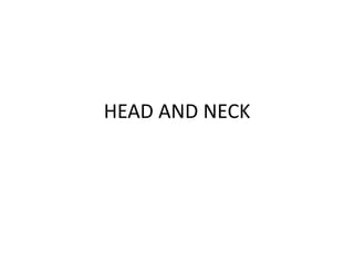 HEAD AND NECK
 