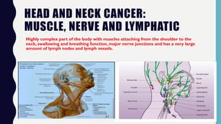 HEAD AND NECK CANCER:
MUSCLE, NERVE AND LYMPHATIC
Highly complex part of the body with muscles attaching from the shoulder to the
neck, swallowing and breathing function, major nerve junctions and has a very large
amount of lymph nodes and lymph vessels.
 