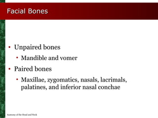 Facial Bones




 • Unpaired bones
        • Mandible and vomer
 • Paired bones
        • Maxillae, zygomatics, nasals, la...