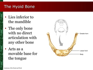 The Hyoid Bone

 • Lies inferior to
   the mandible
 • The only bone
   with no direct
   articulation with
   any other b...