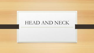 HEAD AND NECK
 