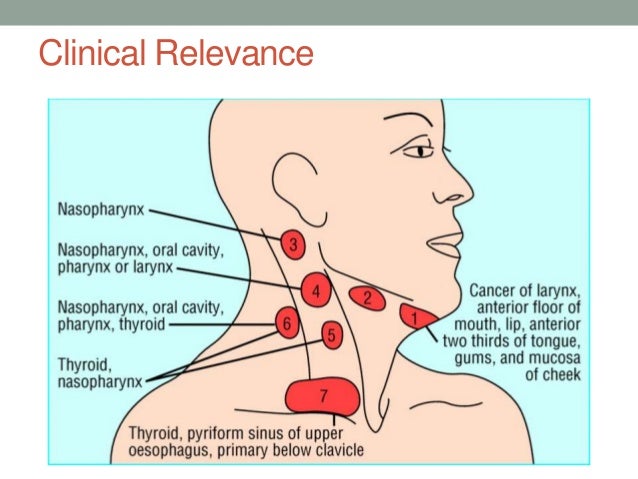 Lump In Muscle In Neck 61