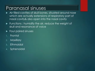Paranasal sinuses
 Air filled cavities of skull bones, situated around nose
which are actually extensions of respiratory part of
nasal cavity& also open into the nasal cavity
 Functions : humidify the air, reduce the weight of
skull and resonance of voice
 Four paired sinuses
1. Frontal
2. Maxillary
3. Ethmoidal
4. Sphenoidal
 