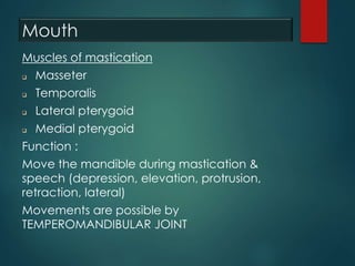 Mouth
Muscles of mastication
 Masseter
 Temporalis
 Lateral pterygoid
 Medial pterygoid
Function :
Move the mandible during mastication &
speech (depression, elevation, protrusion,
retraction, lateral)
Movements are possible by
TEMPEROMANDIBULAR JOINT
 