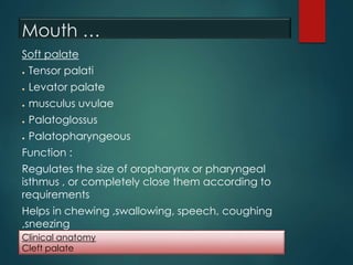 Mouth …
Soft palate
● Tensor palati
● Levator palate
● musculus uvulae
● Palatoglossus
● Palatopharyngeous
Function :
Regulates the size of oropharynx or pharyngeal
isthmus , or completely close them according to
requirements
Helps in chewing ,swallowing, speech, coughing
,sneezing
Clinical anatomy
Cleft palate
 
